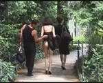 Sans �tre compl�tement � l'abri des regards, le trio comment � baiser !!